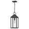Quoizel Thorpe 1-Light Mottled Black Mini Pendant TPE1508MB - alternate 7